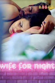 Wife For Night Kooku Hindi