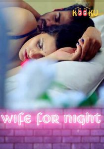 Wife For Night Kooku Hindi