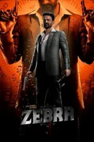 Zebra (2024) Hindi Dubbed