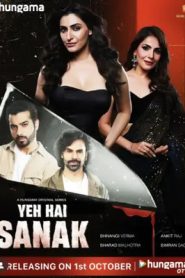 Yeh Hai Sanak (2025) Hindi Season 1 Complete